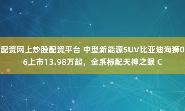 配资网上炒股配资平台 中型新能源SUV比亚迪海狮06上市13.98万起，全系标配天神之眼 C