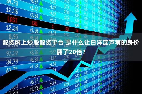 配资网上炒股配资平台 是什么让白洋淀芦苇的身价翻了20倍？