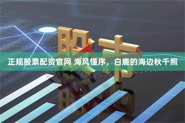 正规股票配资官网 海风懂序,白鹿的海边秋千照